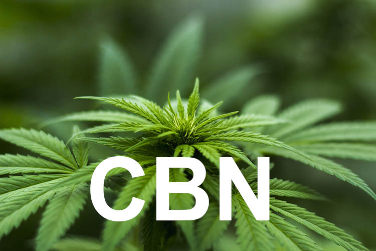Cannabinol – CBN